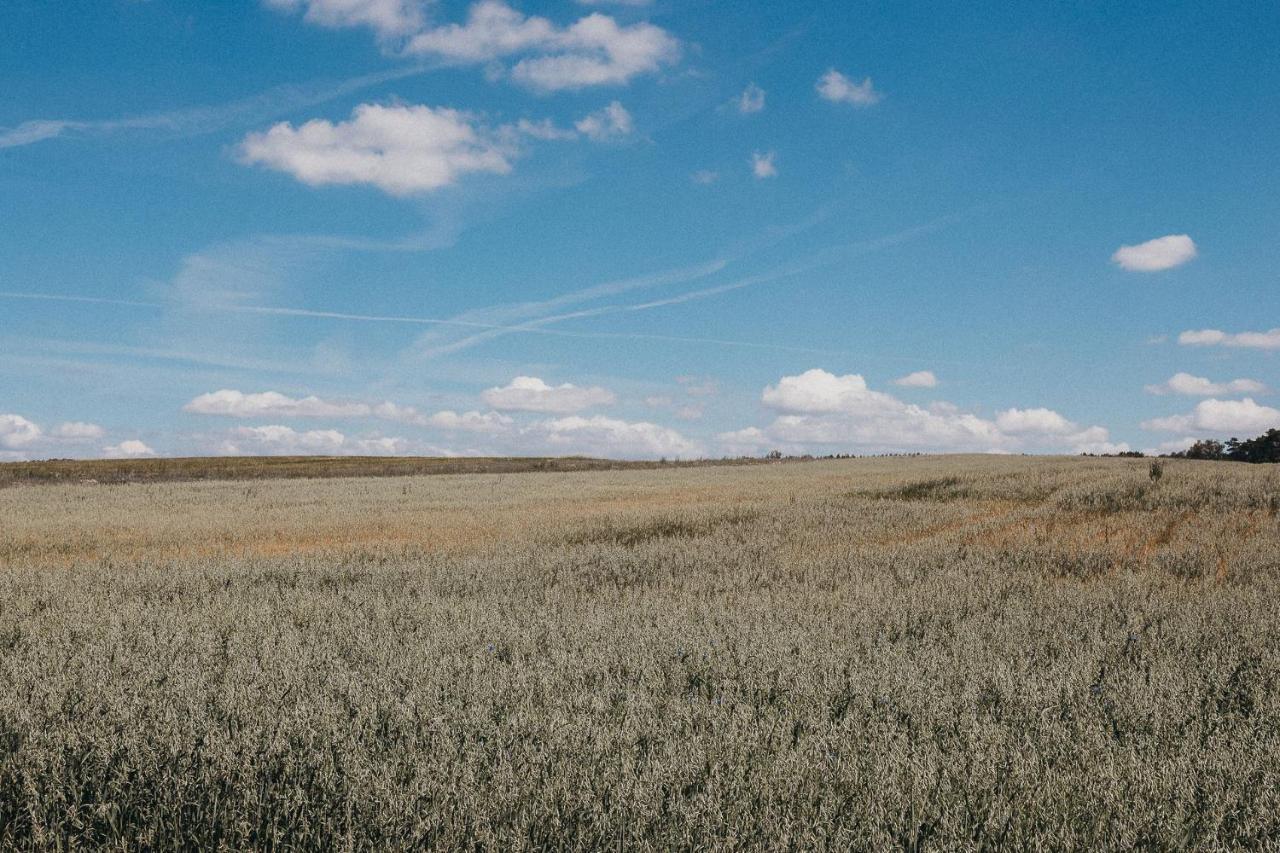 Agroturystyka Pod Debem Łagów Esterno foto